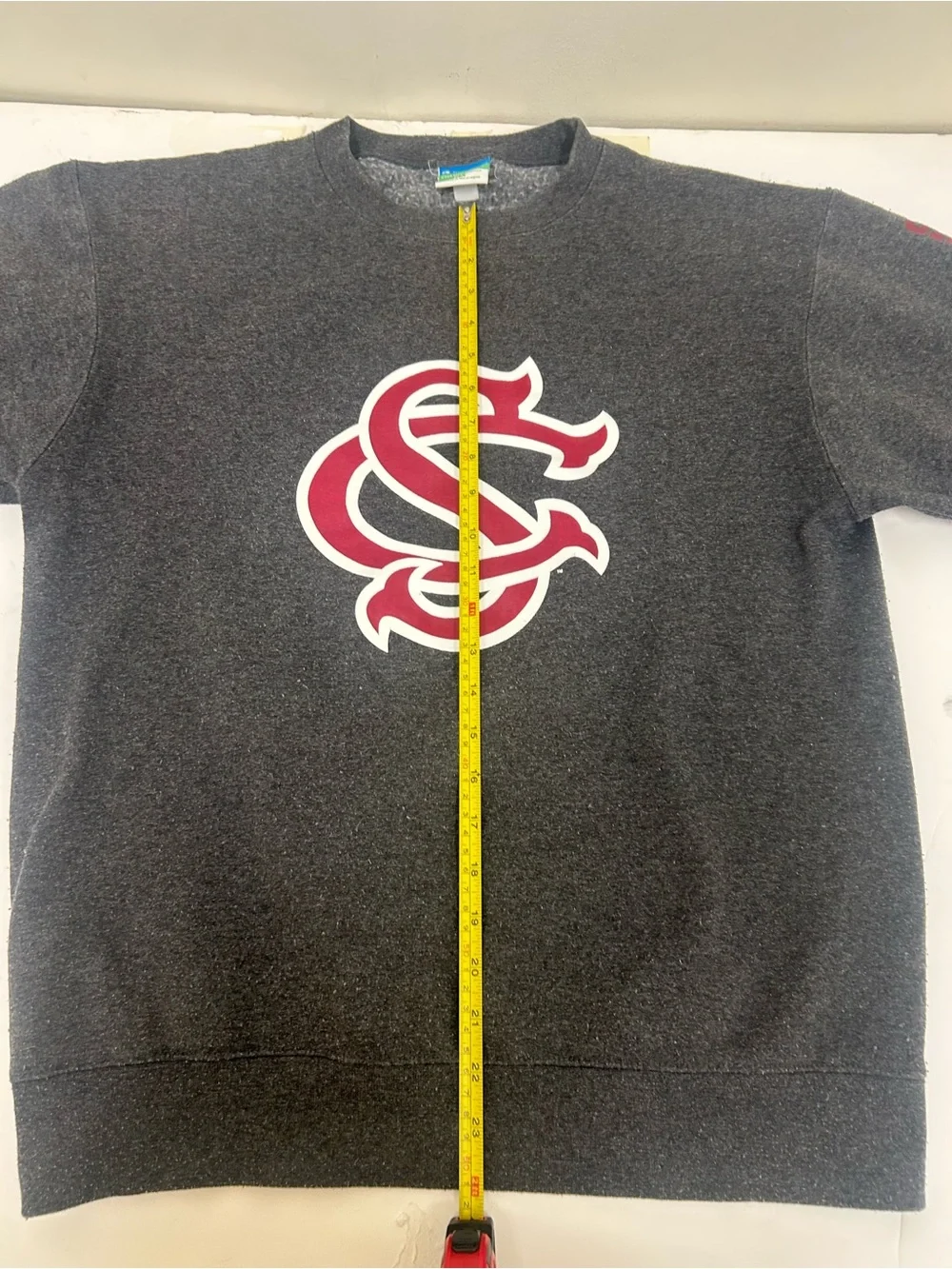 South Carolina gamecocks medium champion sweatshirt